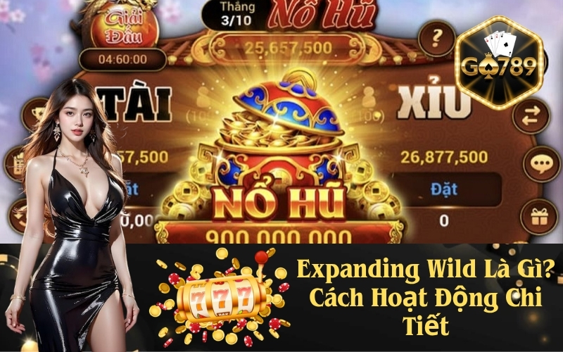 Expanding Wild Là Gì? Cách Hoạt Động Chi Tiết